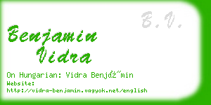 benjamin vidra business card